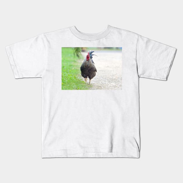 Plymouth rock rooster Kids T-Shirt by Drgnfly4free